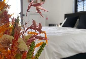 Damse Paveljoentje comfort en uitzicht in Damme allows 18 year olds to book a room