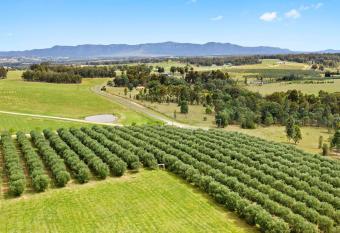 Block Eight Estate Vineyard View Villa allows 18 year olds to book a room