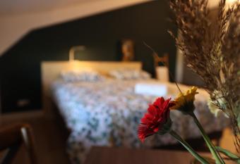 Porcus Campus has Balcony rooms