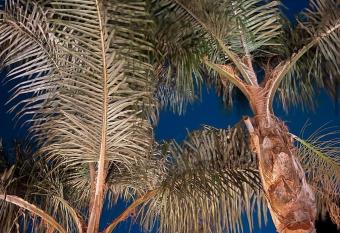 Luxury B&B Villa Tauro has Balcony rooms