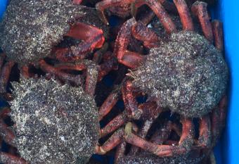 Appartement Port de Tr  boul allows 18 year olds to book a room