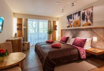 Hotel Maximilian has Balcony rooms