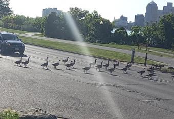 Waterfront Home Windsor ,Canada has Balcony rooms