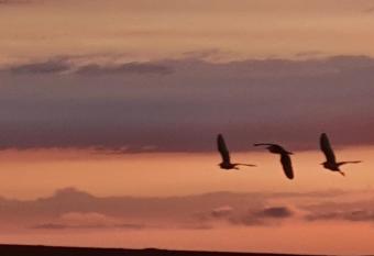 Sun, Mountain & Adventure allows 18 year olds to book a room