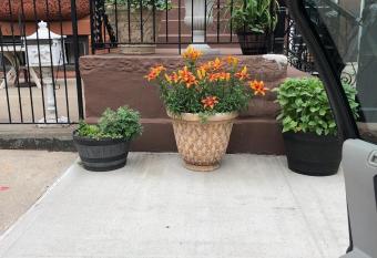 Brooklyn brownstone allows 18 year olds to book a room