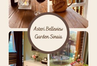 Asteri Garden & Terrace Apartment has Balcony rooms