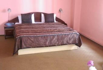 Pensiunea Vila Dana has Balcony rooms