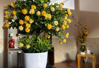 ALAMEDAS APARMENTs allows 18 year olds to book a room