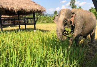 Paiberngboc Resort has Balcony rooms