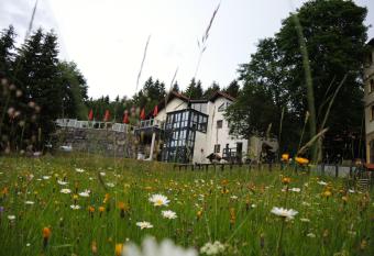 Gastinger Hotel-Restaurant has Balcony rooms