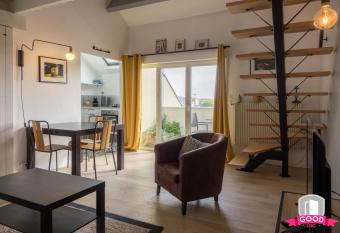 Le Duplex Ensoleill   du Parc * Parking * Balcon * allows 18 year olds to book a room