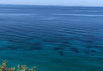 Tophill Apartments has Balcony rooms