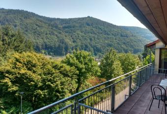 Hotel zum Neckartal Heidelberg has Balcony rooms
