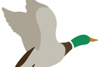 B&B Le Col-vert allows 18 year olds to book a room