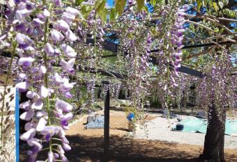 La Margotti  re chez isa et titi has Balcony rooms