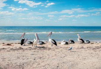 Bellarine Bayside Portarlington allows 18 year olds to book a room