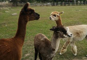 Idyllic cottage with private wood fire hot tub has rooms with a private hot tub