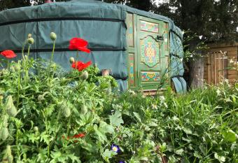 Mill Stream Yurt allows 18 year olds to book a room