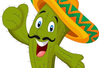 Apartman Cactus has Balcony rooms