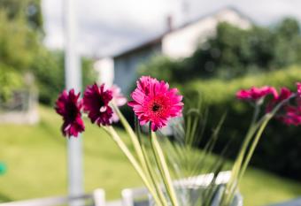 Purer Genuss - Garten und Alpe has Balcony rooms
