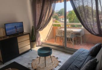 Appart. F2 apercu Port de Santa Lucia St Rapha  l allows 18 year olds to book a room