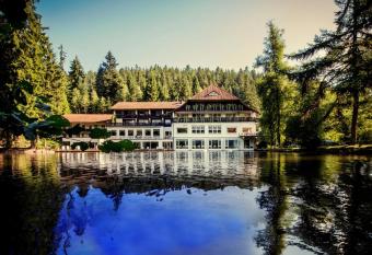 Hotel Langenwaldsee has Balcony rooms