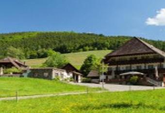 Landgasthaus Gr  ner Baum has Balcony rooms