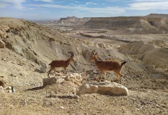 Glezant allows 18 year olds to book a room