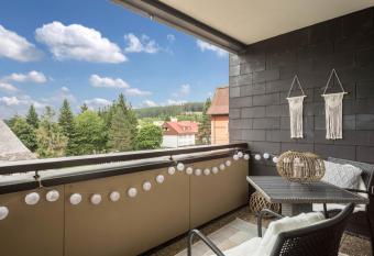 Heimelig im Hirschen App 240 has Balcony rooms