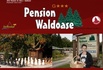 Hotel Waldoase Hirschb  chenkopf has Balcony rooms