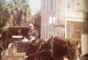 Bijou Boutique Inn allows 18 year olds to book a room