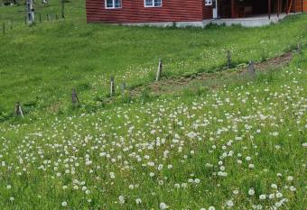 Cabana Elena has Balcony rooms
