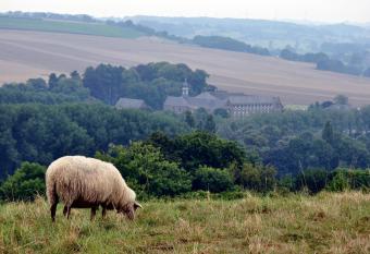 Auberge A gen Kirk has Balcony rooms