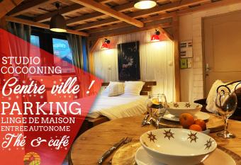 Studio cocooning CLEDICIHOME PARKING PRIVE Centre ville allows 18 year olds to book a room