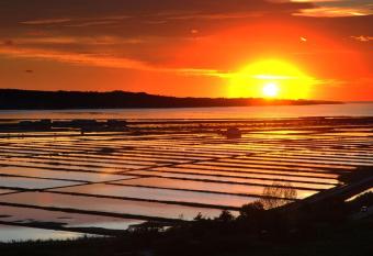 M&M Sunset Apartments has Balcony rooms
