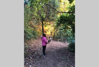 Rec  mara a 25 minutos del pueblo m  gico de Tepoztl  n has Balcony rooms