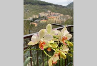 Alloggio a via Impero has Balcony rooms