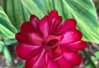 Kihei Maui Luxury Condo, Beach, Pool, Restaurants Kihei Gardens Estates G206 has rooms with a private hot tub