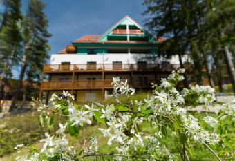 Apartm  n   ty  l  stek Lipno has Balcony rooms