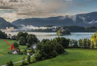 homestay vito 3 allows 18 year olds to book a room