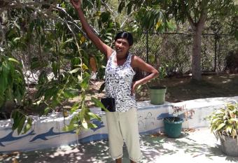 Paradise Place has Smoking/Balcony rooms