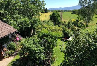 Haus Schwarzwaldblick has Balcony rooms