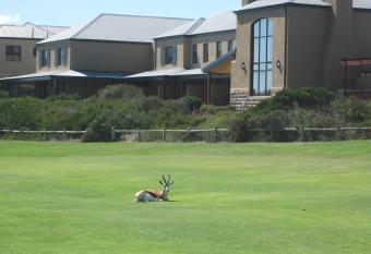 The Lodge at Atlantic Beach has Balcony rooms