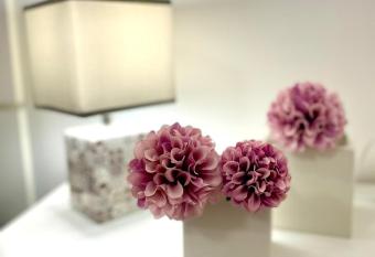 Bilocale dimora Raffaella has Balcony rooms