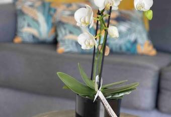 La Casa di Maria - G  te 2    4 personnes has Balcony rooms