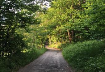 Widy s House has Balcony rooms