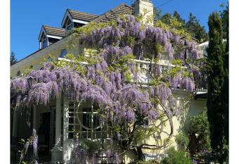 Lovely Studio Apartment with Roof Top Conservatory has Balcony rooms