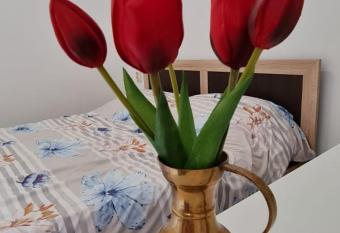 STUDIO PICO allows 18 year olds to book a room