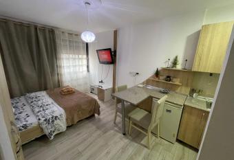 Downtown Modern Studio Apartment allows 18 year olds to book a room