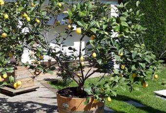 Chez Jeanfi allows 18 year olds to book a room